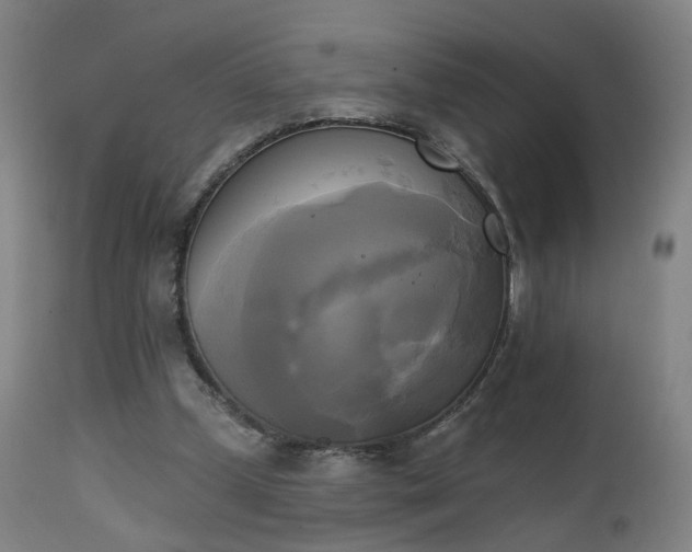 X0000111220249200907091319