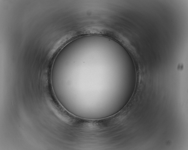 X0000111220250200907091319