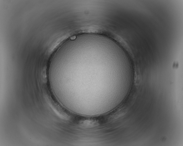 X0000111220251200907091319
