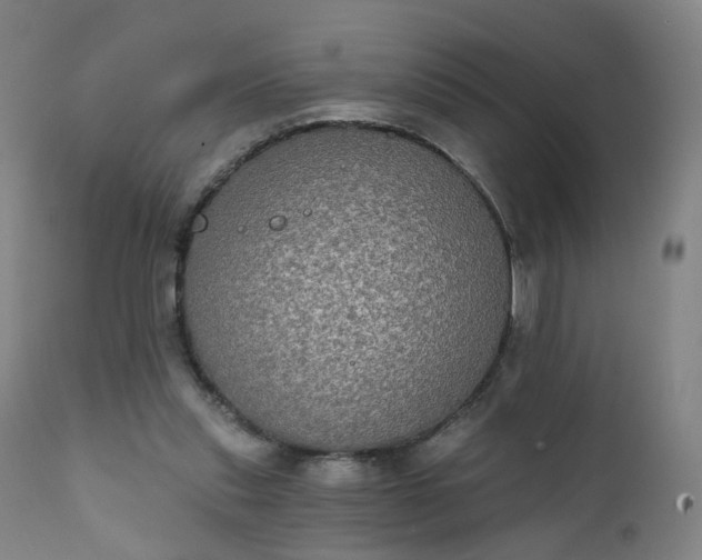 X0000111220253200907091319