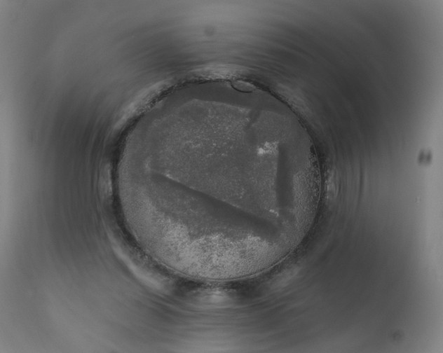 X0000111220254200907091319