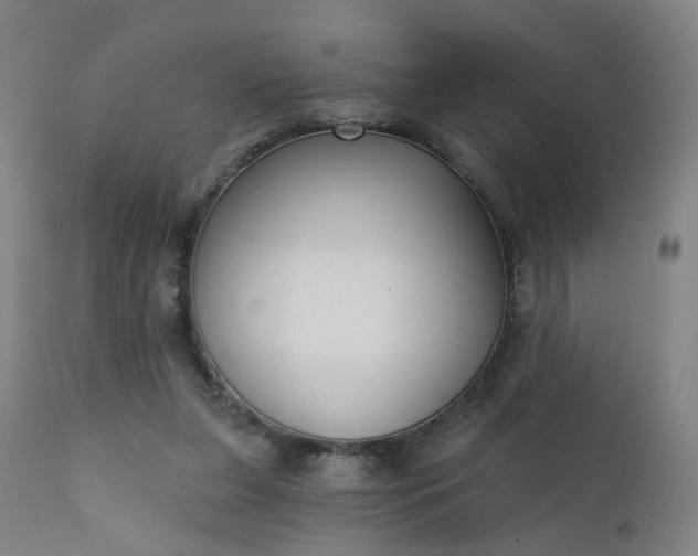 X0000111220255200907091319