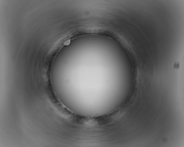 X0000111220258200907091319
