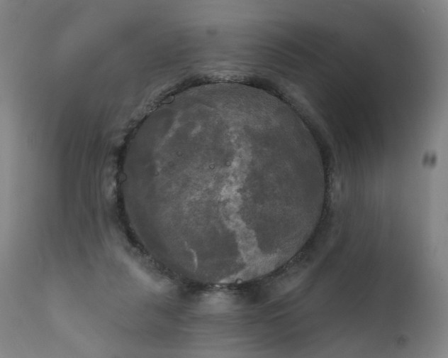 X0000111220259200907091319