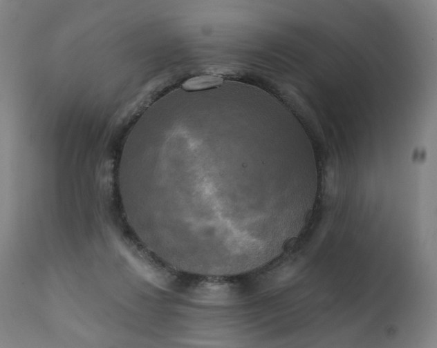 X0000111220260200907091319
