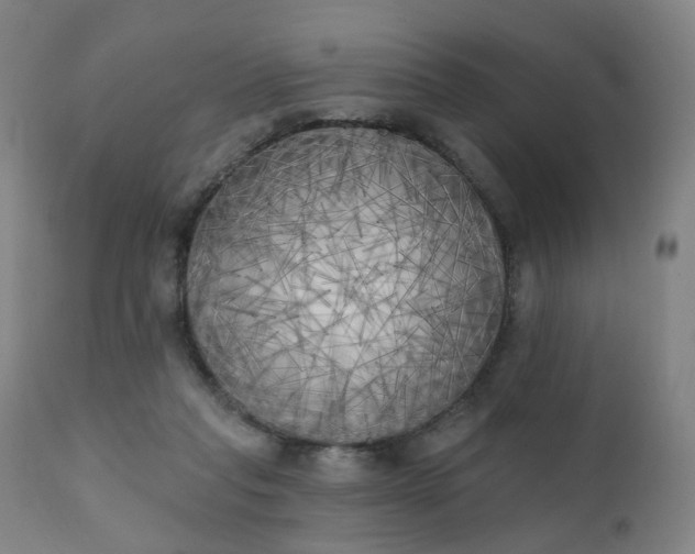 X0000111220261200907091319