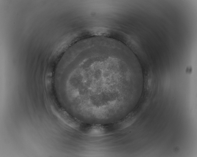 X0000111220263200907091319