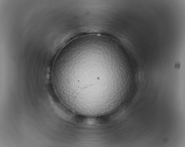 X0000111220264200907091319