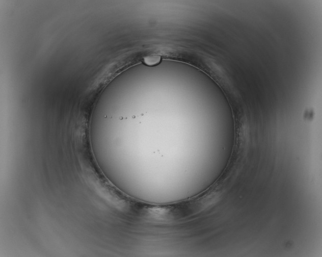 X0000111220265200907091319