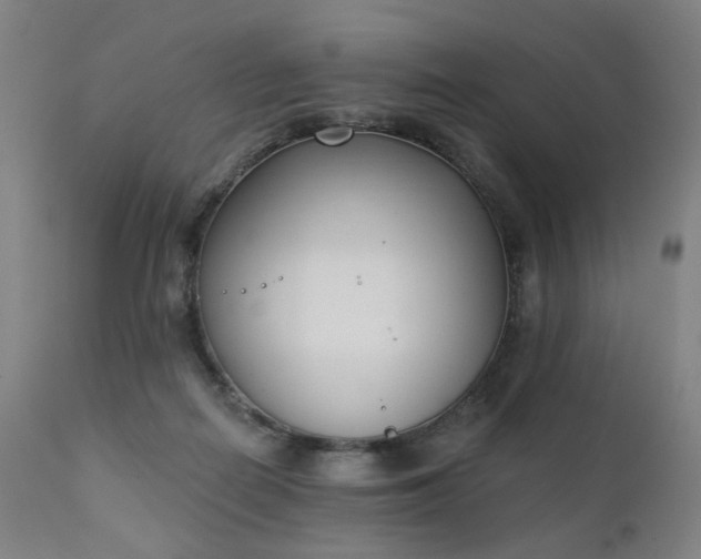 X0000111220266200907091319