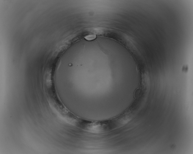 X0000111220267200907091319