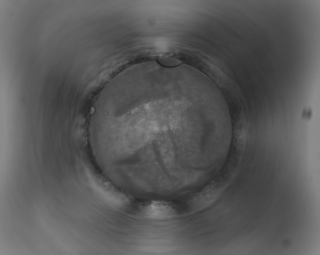 X0000111220270200907091319