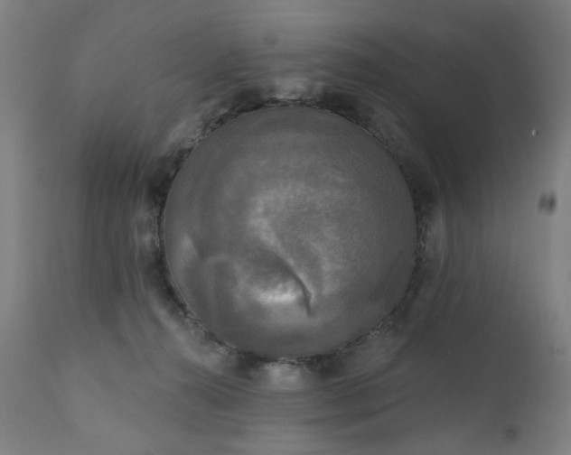 X0000111220272200907091319