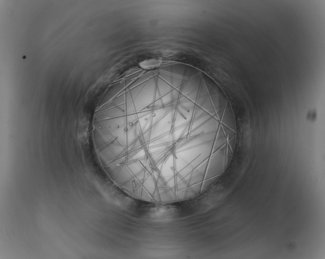X0000111220274200907091319