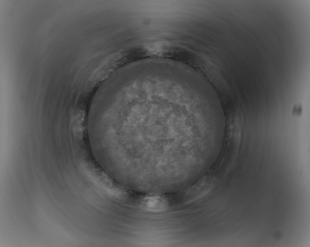X0000111220275200907091319