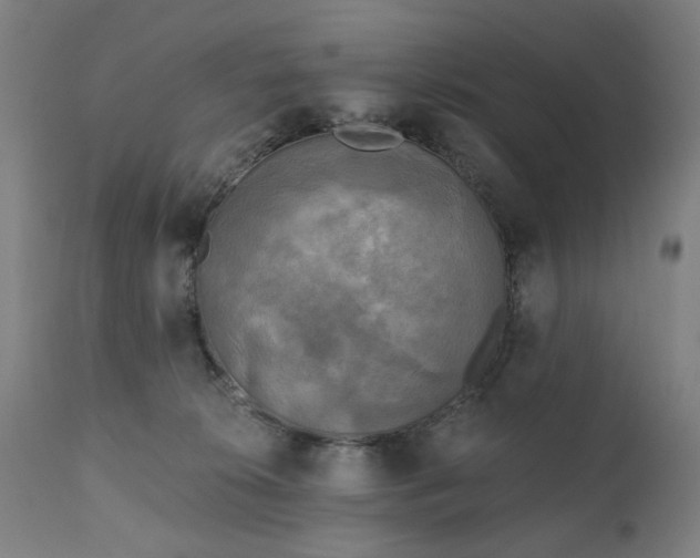 X0000111220276200907091320