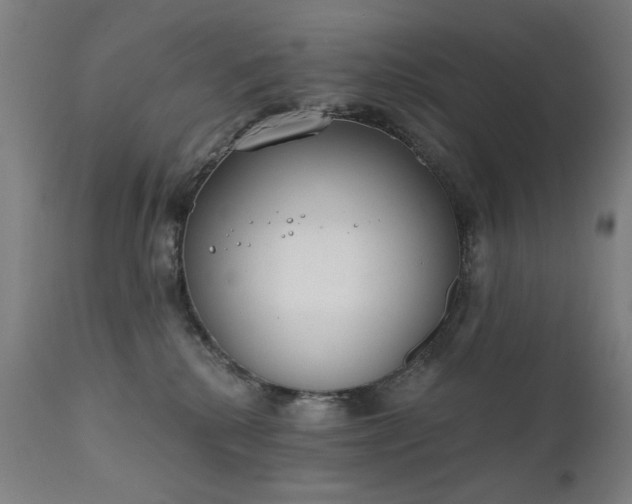 X0000111220280200907091320