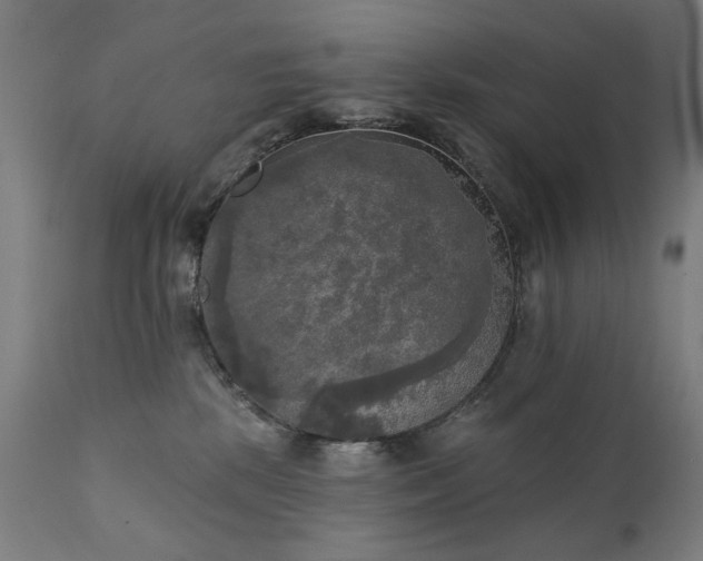 X0000111220281200907091320