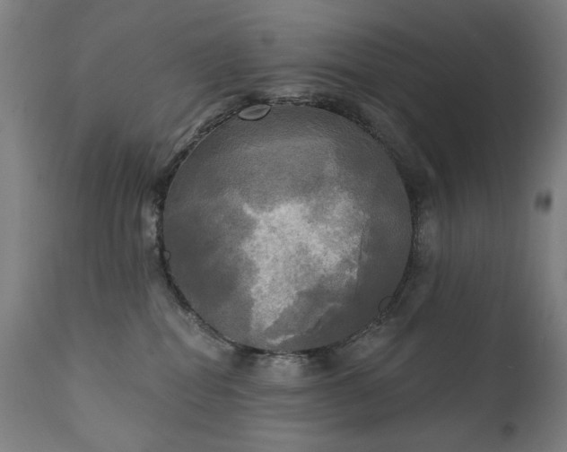 X0000111220282200907091320