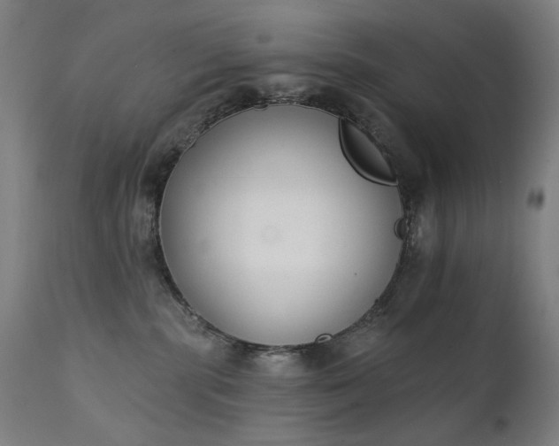 X0000111220283200907091320