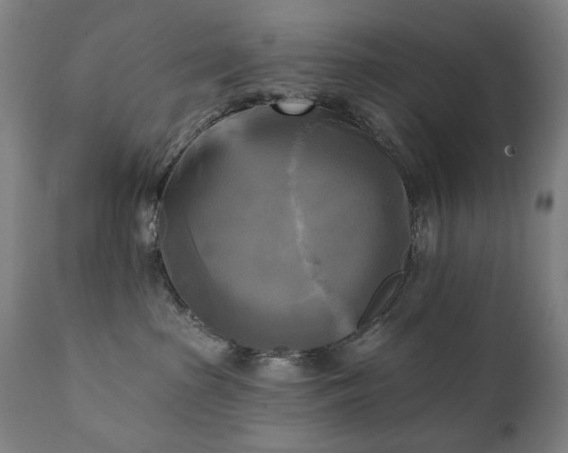 X0000111220285200907091320