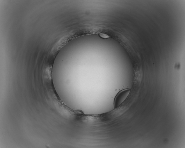 X0000111220286200907091320
