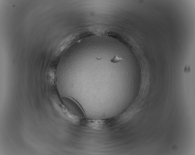 X0000111220288200907091320