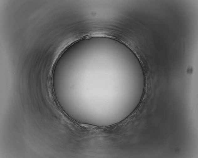 X0000111220289200907091319