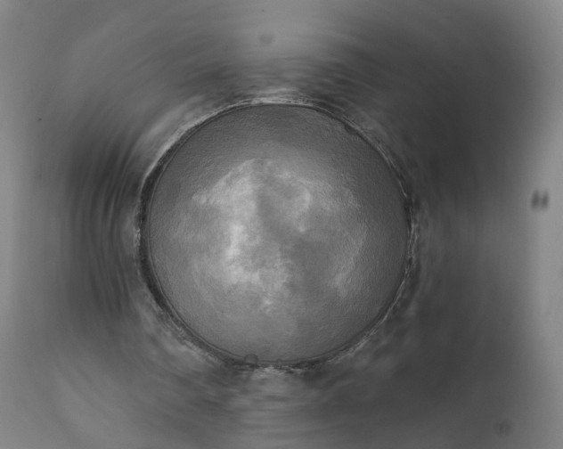 X0000111220290200907091319