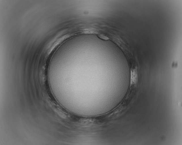 X0000111220291200907091319