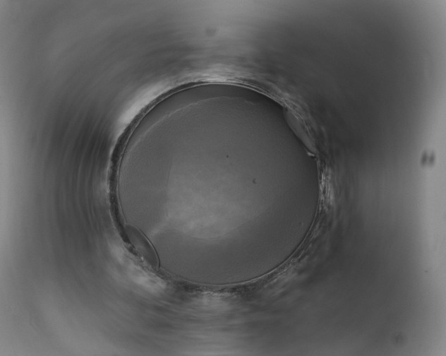 X0000111220292200907091319