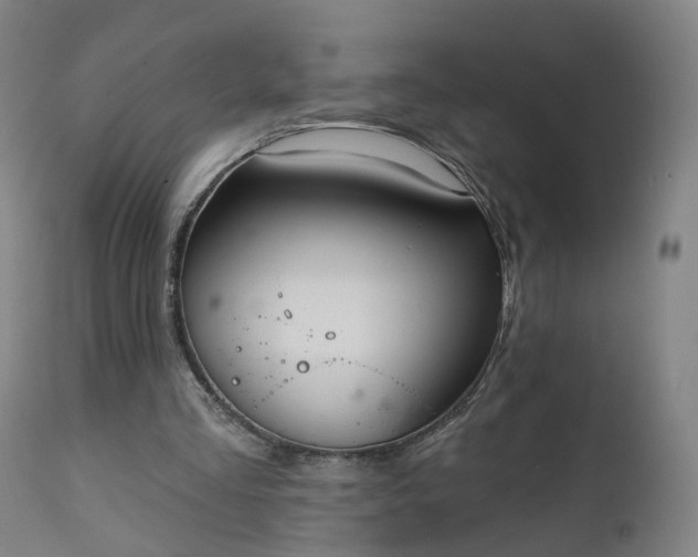X0000111220293200907091319
