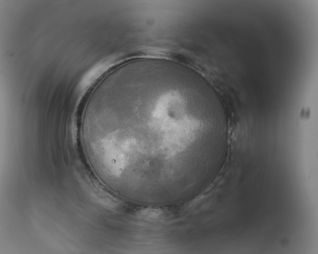 X0000111220294200907091319