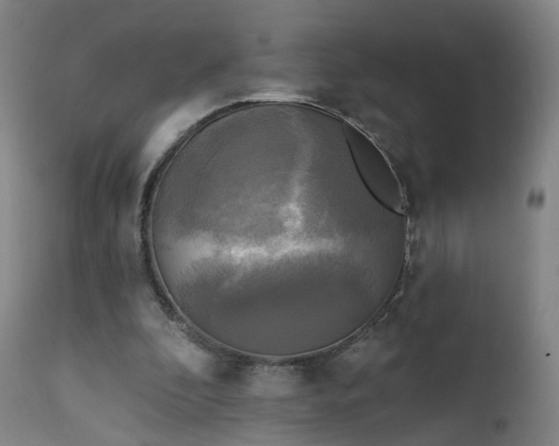 X0000111220296200907091319