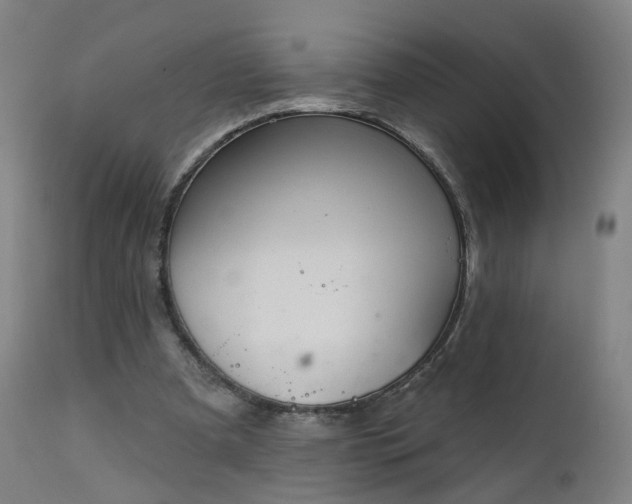 X0000111220297200907091319