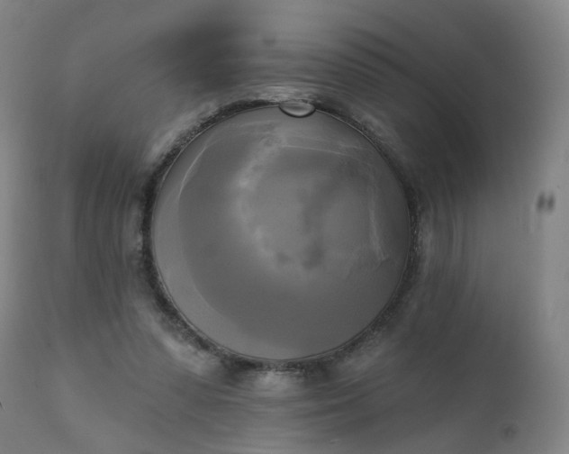X0000111220303200907091319