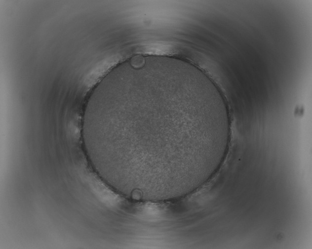 X0000111220305200907091319