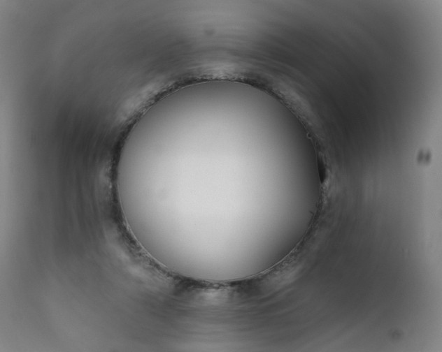 X0000111220306200907091319