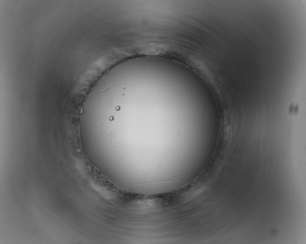 X0000111220307200907091319