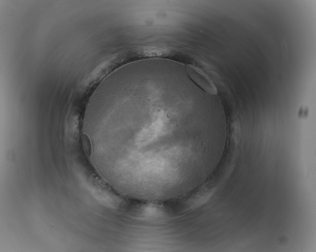 X0000111220308200907091319