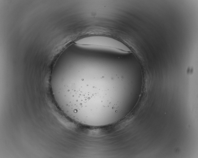 X0000111220309200907091319