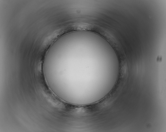 X0000111220310200907091319