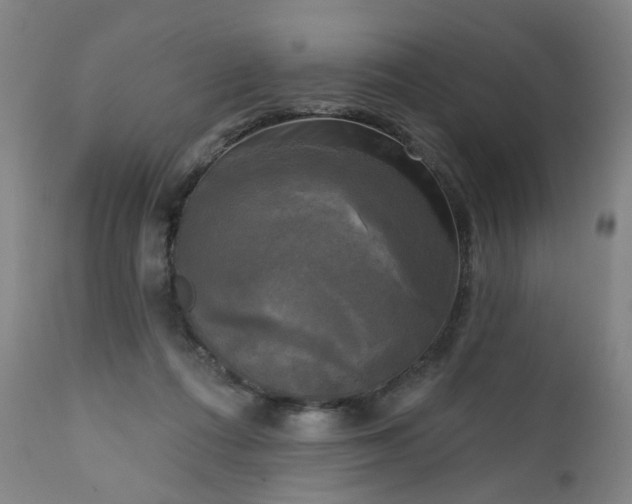 X0000111220312200907091319