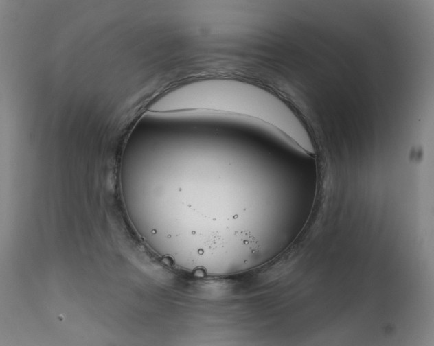 X0000111220313200907091319