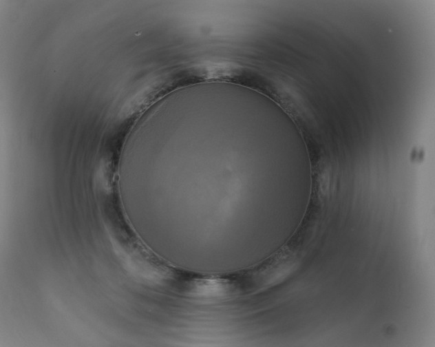 X0000111220316200907091319