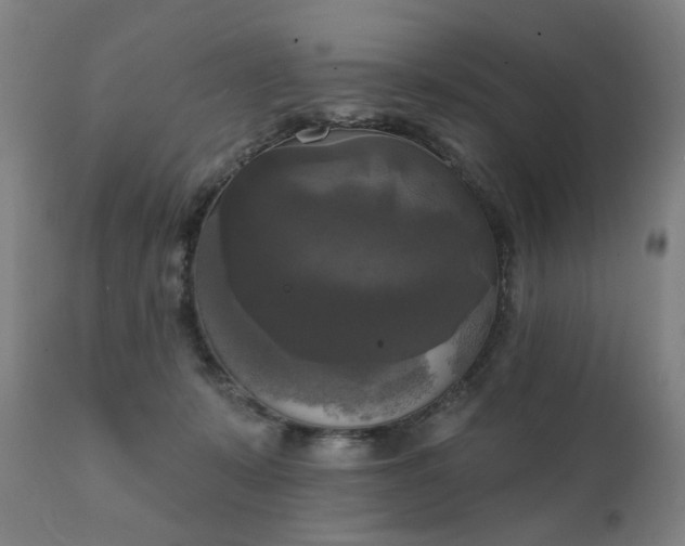 X0000111220319200907091319
