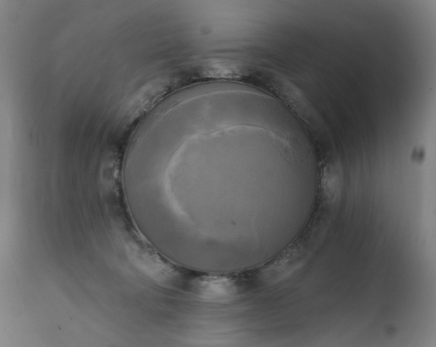 X0000111220322200907091319