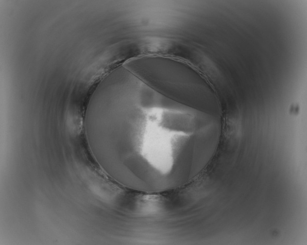 X0000111220324200907091319