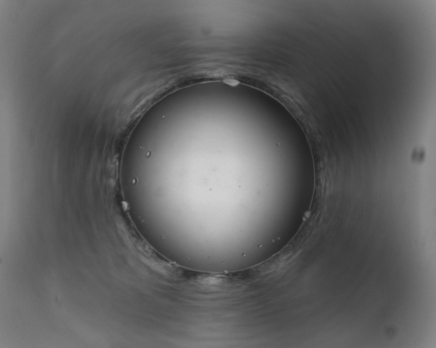 X0000111220325200907091319