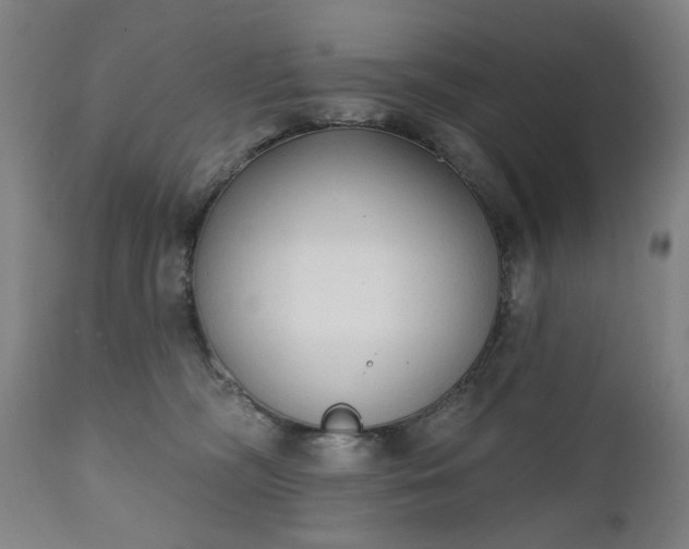 X0000111220326200907091319